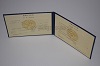 Стоимость диплома техникума УзбекАССР 1975-1991 г. в Свободном (Амурская Область)