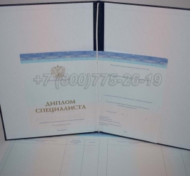 Диплом о Высшем Образовании 2020г СпецБланк в Благовещенске