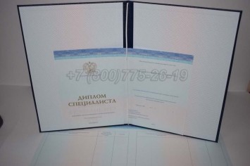 Диплом о Высшем Образовании 2020г СпецБланк в Благовещенске
