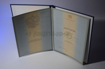 Диплом Университета 2008г в Благовещенске