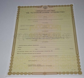Свидетельство об Установлении Отцовства 2018г в Благовещенске