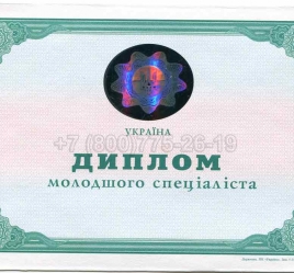 Диплом Техникума Украины 2013г в Благовещенске