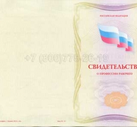 Свидетельство о Профессии Рабочего "Авиационный механик(техник)по приборам и электрооборудованию" в Благовещенске