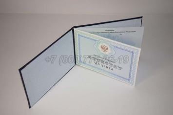 Аттестат Доцента 2019г в Благовещенске