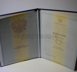Диплом Института 2010г в Благовещенске