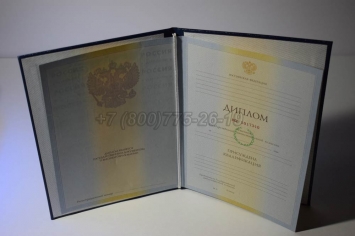 Диплом Института 2010г в Благовещенске