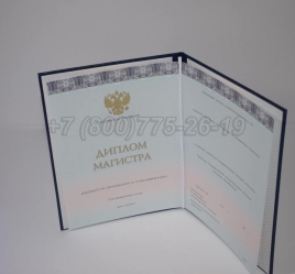 Диплом Магистра 2024г ООО "Знак" в Благовещенске