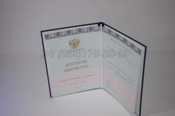 Диплом Магистра 2024г ООО "Знак" в Благовещенске