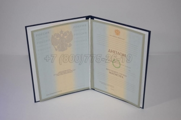 Диплом Магистра 2006г в Благовещенске
