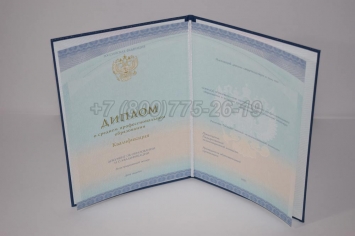 Диплом Колледжа 2022г СпецБланк в Благовещенске