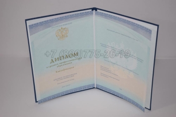 Диплом Техникума 2022г СпецБланк в Благовещенске