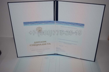 Диплом о Высшем Образовании 2024г СпецБланк в Благовещенске