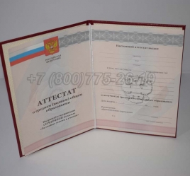 Аттестат За 11 Класс 2012г Серебро в Благовещенске