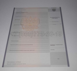 Академическая Справка Техникума 2019г в Благовещенске