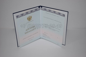 Диплом Бакалавра 2023г ООО "Знак" в Благовещенске